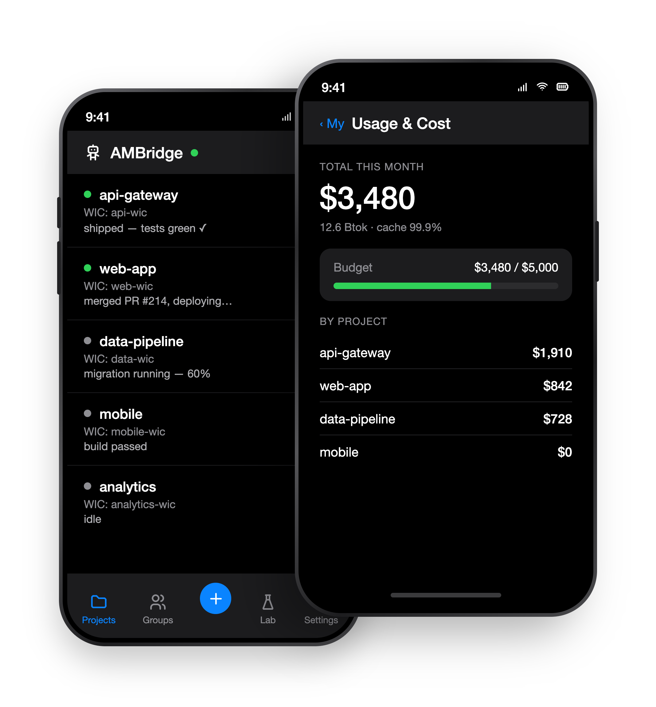 Woodor Console on two phones: an agent fleet list and a usage-and-cost view.